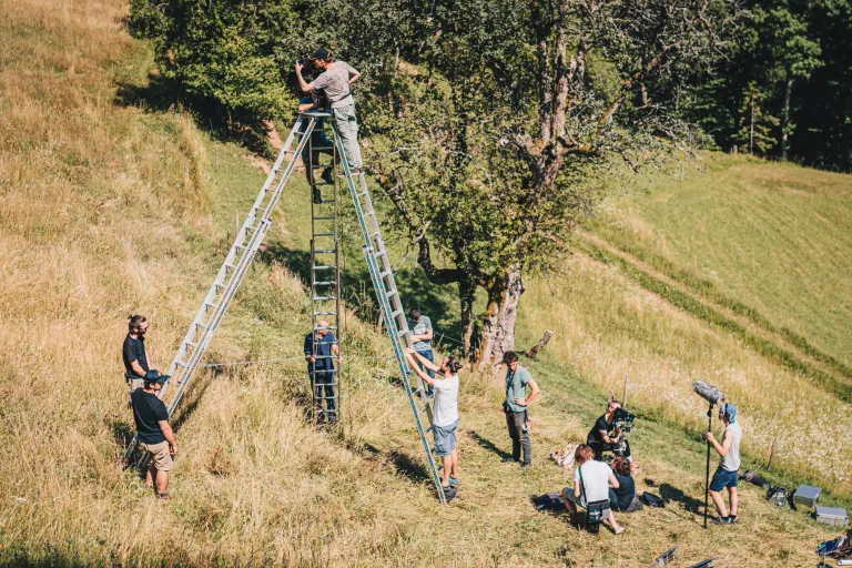 Otava, 7 fotografij, Fotografija