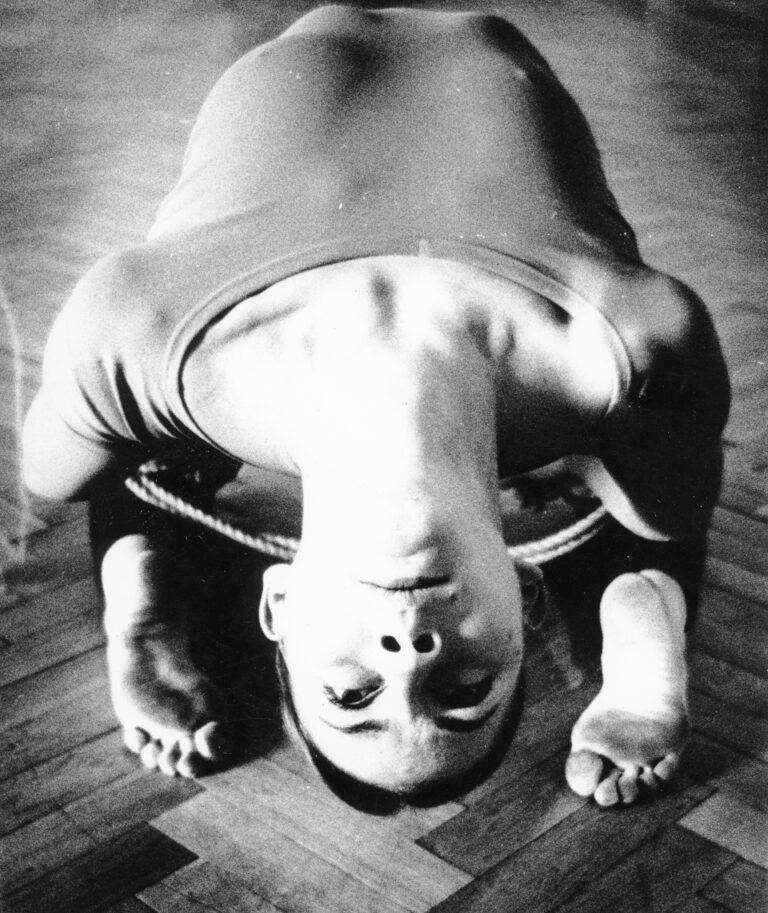 Ples pri Lojzki Žerdin